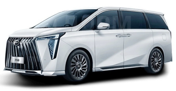 Автомобильные коврики EVA для GAC M8 (2023->)