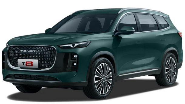 Двухслойные коврики EVA для TENET T8 3 ряда (2025->)